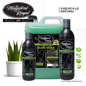 Champú Aloe Vera