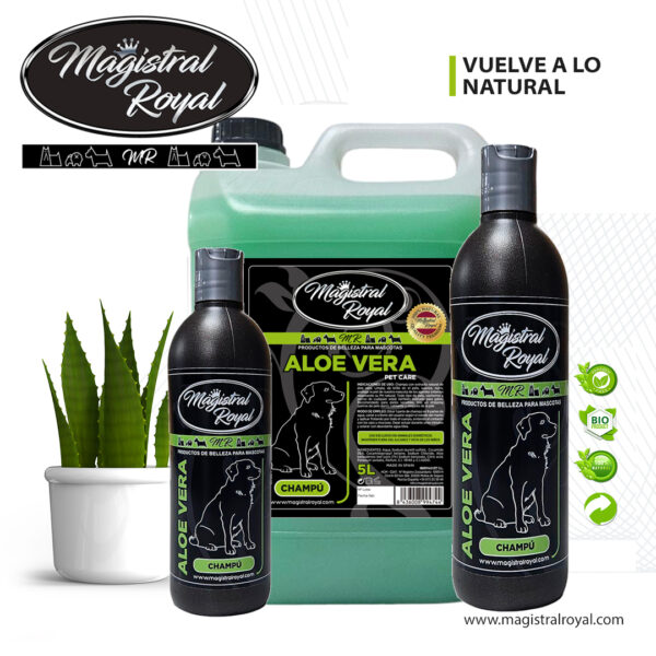 Aloe Vera Shampoo | Sensitive-Skin & Frequent-Wash Formula