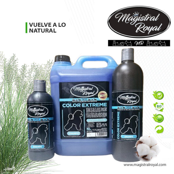 Color Extrem Shampoo | White-Coat & Intense-Colour Shampoo