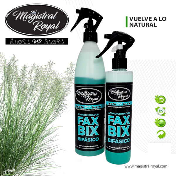 FaxBix Bi-Phase Conditioner