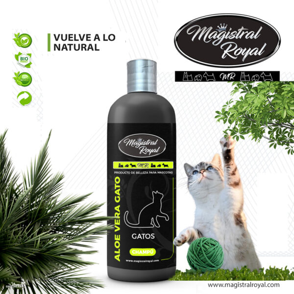 Cat Shampoo