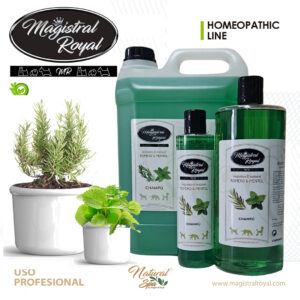 Rosemary & Menthol Shampoo