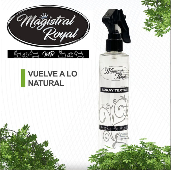 Textur Hold Spray