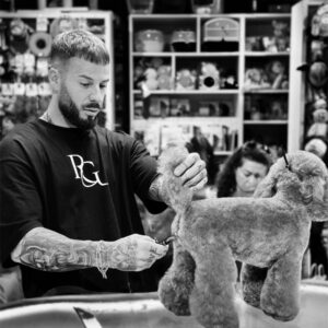 Advanced Grooming Course – 1+ Year Experience – 60H