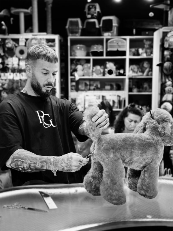 Advanced Grooming Course – 1+ Year Experience – 60H