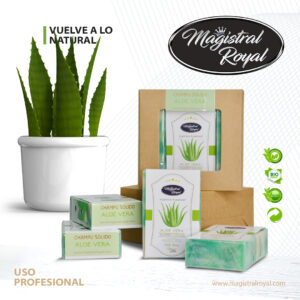 Champú Aloe Vera en pastilla