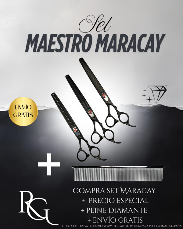 SET MAESTRO MARACAY PROMOCIÓN
